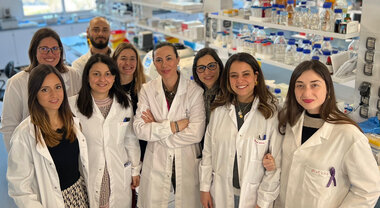 Una piattaforma made in Puglia combatterà i tumori al pancreas: la ricerca Una piattaforma made in Puglia combatterà i tumori al pancreas: la ricerca