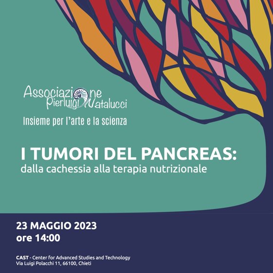 8a4bd81a-91d9-4969-bef4-28b9f25b609d 8a4bd81a-91d9-4969-bef4-28b9f25b609d