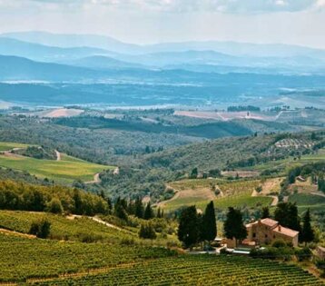 e981cb9c-3a26-413c-89a7-b8c613b64e8e