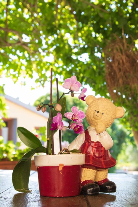 5391d8f7-5850-432a-a996-08550d2a581d