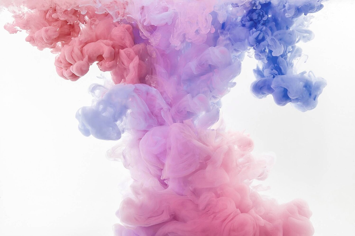 217ae7c1-4544-44e7-96f6-a98fed906365