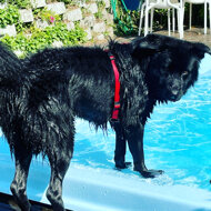 92d850a6-f7f2-429f-9dc6-0898d51480f8