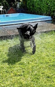 1a8a63fd-323b-465c-b98f-0cc9f9f2de2e