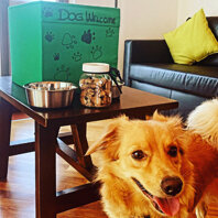 guest3.jpeg guest3.jpeg