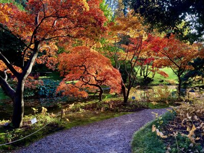 villa melzi - 3.jpeg