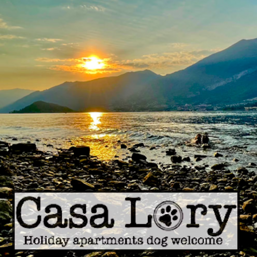 a7719355-404b-43e2-9799-05a4ed752fb6