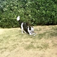 6ce2c0c1-86d5-4b9a-bc43-adf691bb57f5