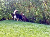 2bcfa3c2-bf42-4230-9fd5-0a03441bd394.jpeg 2bcfa3c2-bf42-4230-9fd5-0a03441bd394.jpeg