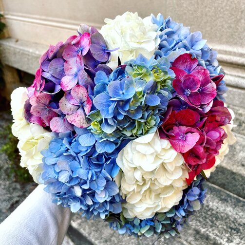 956d3853-95d3-406e-880f-5740c20c9e89.jpeg 956d3853-95d3-406e-880f-5740c20c9e89.jpeg