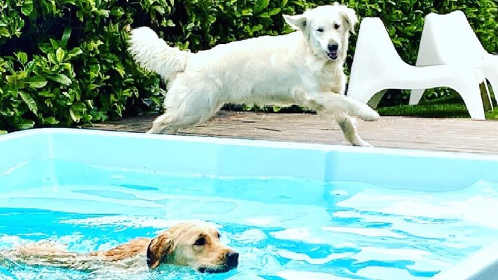 c64ccb92-8896-40c1-a493-dd75520e5699 c64ccb92-8896-40c1-a493-dd75520e5699