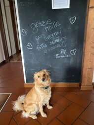 3393a6d7-350e-49fd-93ec-aa70ab475a4f