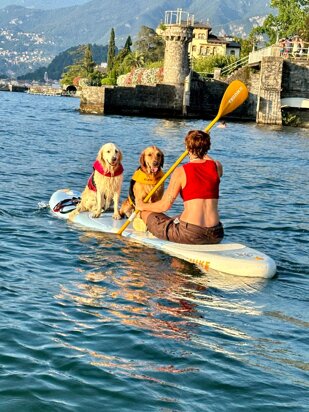 fe12645c-ff42-4cbb-b67f-9c805f92eac3