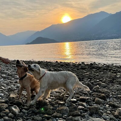 d4e57dcb-4a25-4c02-b862-5861aec3d526.jpeg d4e57dcb-4a25-4c02-b862-5861aec3d526.jpeg