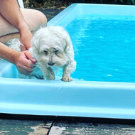 6e89b45a-18a6-4de3-bb23-cbc952d6524a