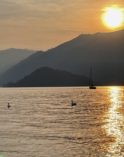 tramonto cigni.jpeg