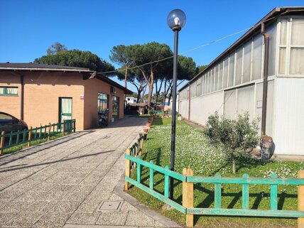 3fd353ea-95be-4ad2-a05d-f4744359e164 3fd353ea-95be-4ad2-a05d-f4744359e164