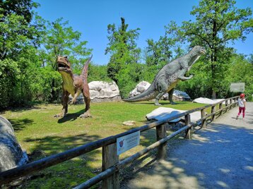 4be757df-1640-4a9c-950f-5abb71824d2e