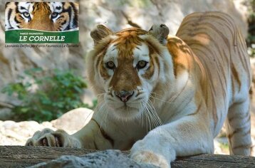 5e2f345e-eeae-4a69-9a12-33825cd04ecf