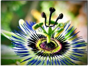 a9703fb8-9241-4d41-a37a-3235f5567611