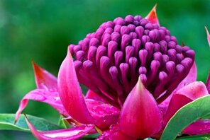 235437e9-b878-413e-83bb-c8fbfcb4acbe