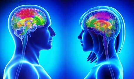 5d6cdbe4-d4bc-4284-bf55-49cf7c34d2bf 5d6cdbe4-d4bc-4284-bf55-49cf7c34d2bf