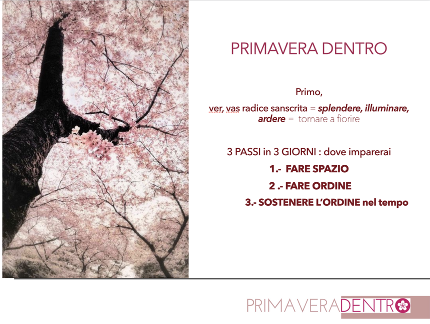 684b5cde-f1d8-48b1-903e-bfdf4f6c9c1b 684b5cde-f1d8-48b1-903e-bfdf4f6c9c1b
