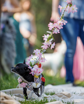 screenshot 2026-03-22 alle 16.07.55 screenshot 2026-03-22 alle 16.07.55