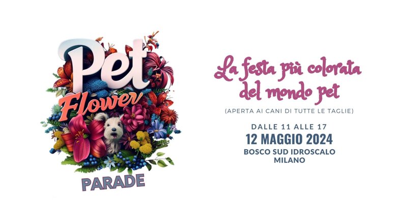 1299fed4-be59-44a4-af86-5473ac3c1aa5