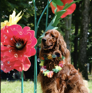 screenshot 2026-03-22 alle 16.11.15 screenshot 2026-03-22 alle 16.11.15