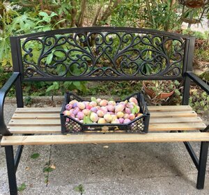 Le susine del nostro giardino