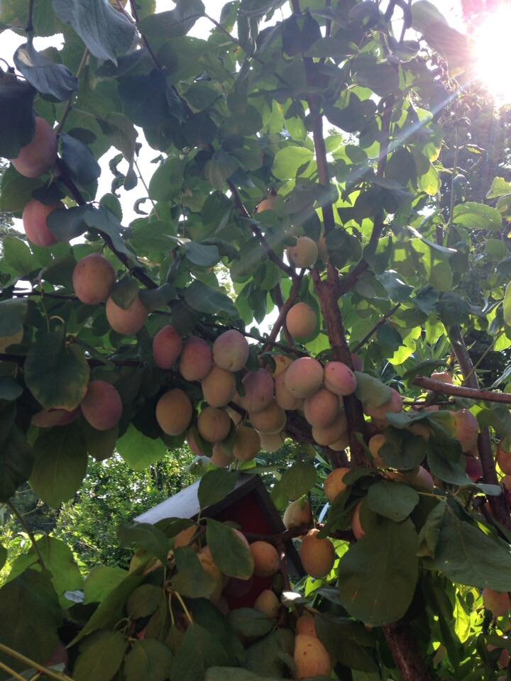 5de19b5b-176e-4cd9-a758-eac2a3d8786a 5de19b5b-176e-4cd9-a758-eac2a3d8786a