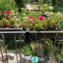 Appartamento Vista dall'ingresso