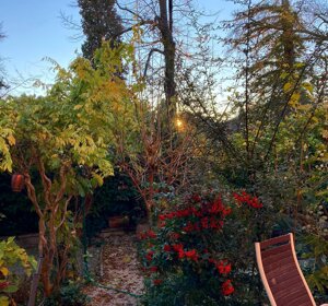 Colori d'autunno in giardino