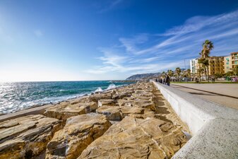 6d55917d-24d0-4802-8f0c-9cec35af25d7.jpeg 6d55917d-24d0-4802-8f0c-9cec35af25d7.jpeg