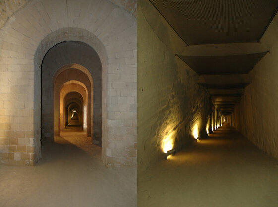 d43477d6-ef03-402b-994a-6d1744a4b421