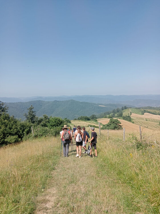 d01da6bf-64c3-42f3-9f6a-41c3e0493b6a.jpeg d01da6bf-64c3-42f3-9f6a-41c3e0493b6a.jpeg