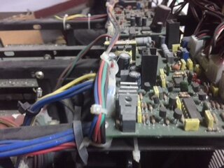 rip.scheda rip.scheda