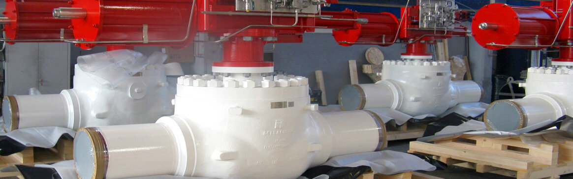 Oltre 20 anni di esperienza nel settore