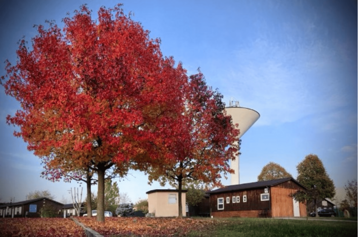 8c80f4bb-f6e1-4ec6-8185-e340a317f1a6