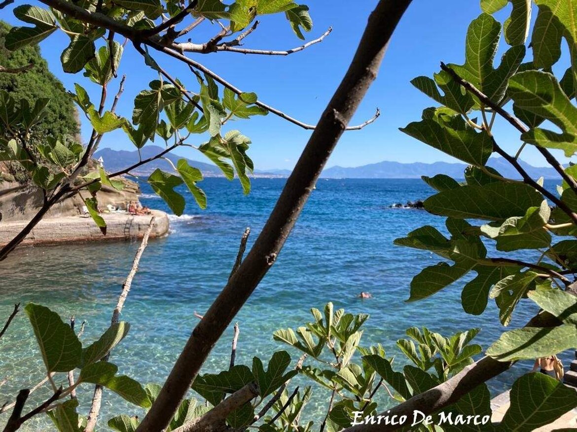 b18b0c9b-6384-48ee-9abe-f006ce003104.jpeg b18b0c9b-6384-48ee-9abe-f006ce003104.jpeg