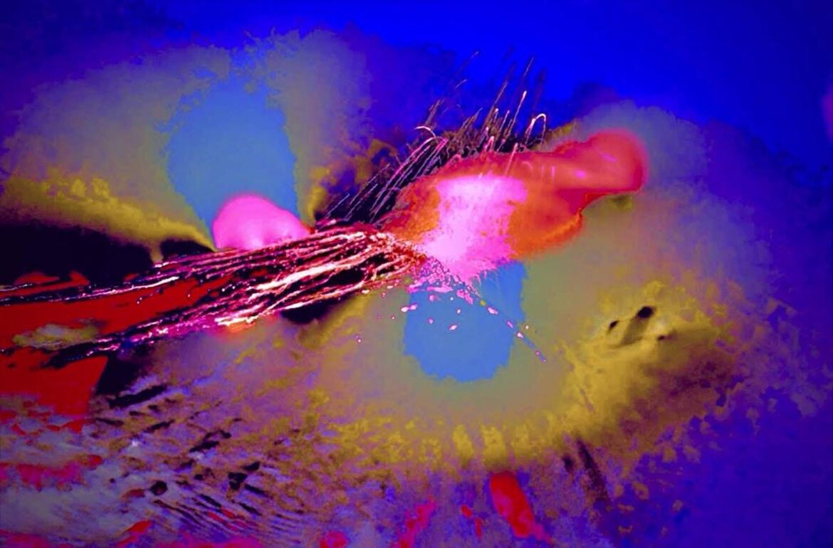 7a52f2a8-7809-4c8a-85e1-2fd095bbdb2b