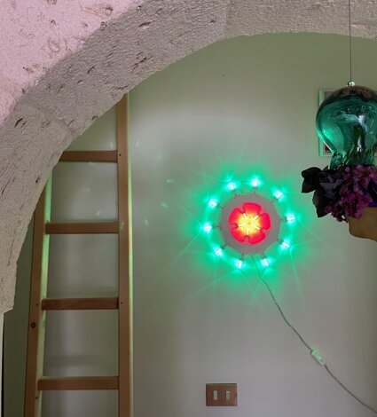 img_1740.jpeg img_1740.jpeg