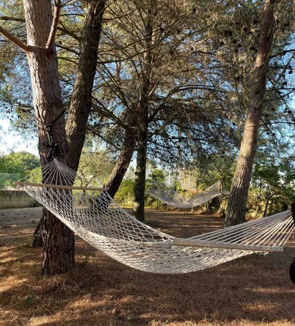 img_0453.jpeg img_0453.jpeg