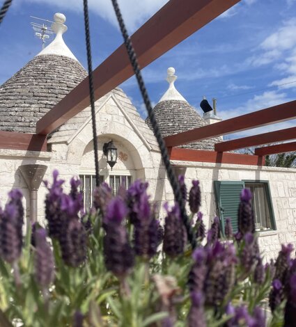 img_2382.jpeg img_2382.jpeg