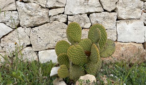 img_0468%20(1).jpeg img_0468%20(1).jpeg