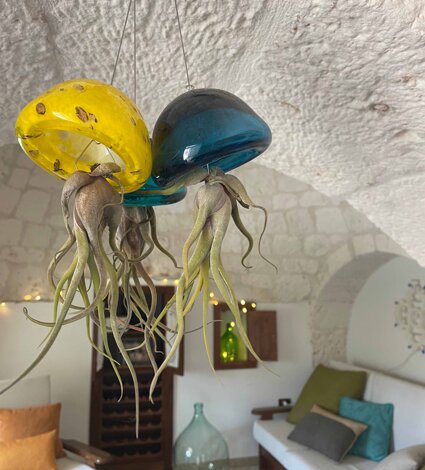 img_1585.jpeg img_1585.jpeg