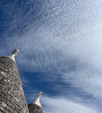 img_4052.jpeg img_4052.jpeg