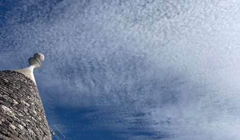 img_9506.jpeg img_9506.jpeg