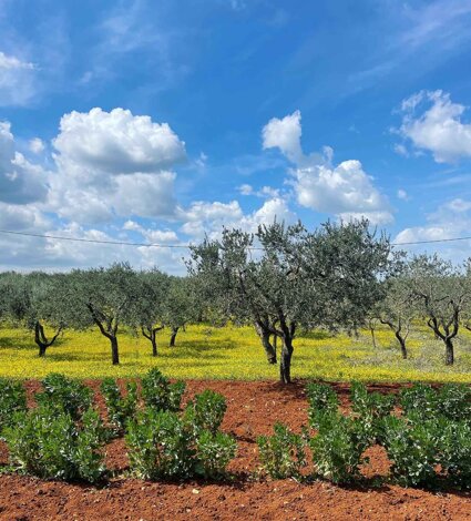 img_2710.jpeg img_2710.jpeg