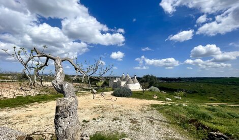 img_1740.jpeg img_1740.jpeg